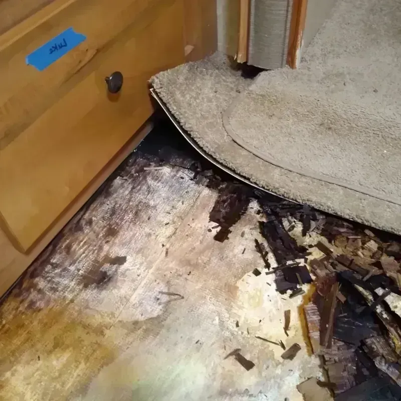 Wood Floor Water Damage in Grandview, IL